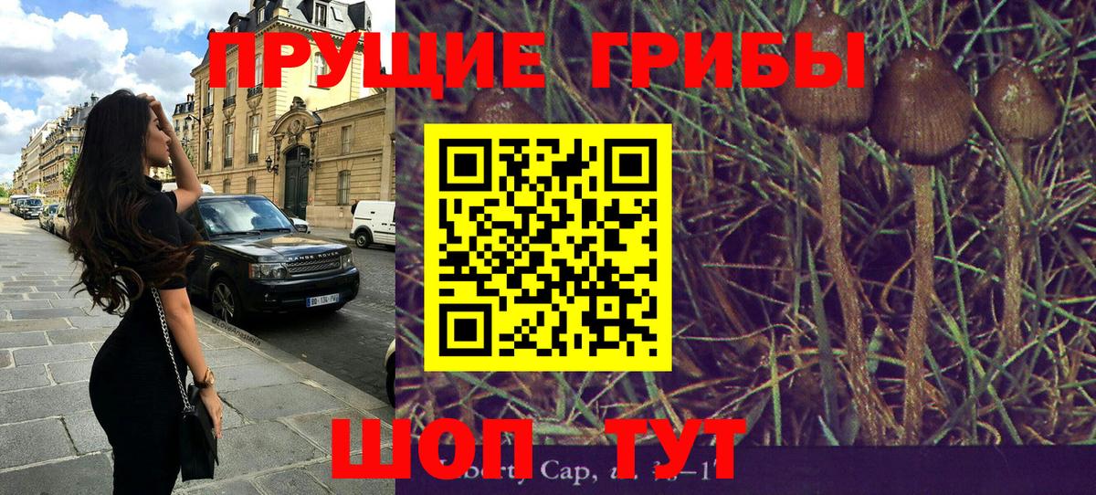 Видное  Галлюциногенные грибы мухоморы  купить наркотики сайты  Вход с VPN 
